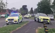 Teenager Dies After Being Struck by Fallen Tree in Stafford