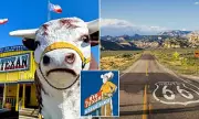 Texas Steakhouse Takes 72-Ounce Challenge on Route 66 Tour