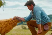 'The Sheep Detectives' Review: A Starry, Family-Friendly Whodunnit