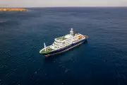 Three Dead, British Tourist in ICU After Hantavirus Outbreak on Atlantic Cruise