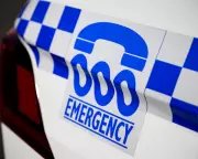 Three Die in South Sydney Crash After Man Flees Police Welfare Check