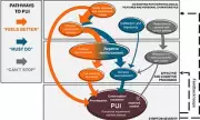 Three Key Drivers of Problematic Internet Use Identified by Scientists