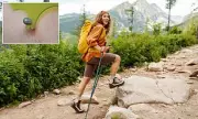 Tick Bite Emergency Visits Hit Record Highs as Lyme Disease Season Intensifies