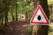 Tick-Borne Encephalitis Cases Found at Popular UK Beauty Spots