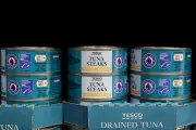 TikTok influencers drive tinned tuna to culinary heights as Tesco sales surge