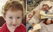 Toddler Breathes on Own After Inhaling Bluey Cake Dust
