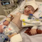 Toddler in Coma After Inhaling Gold Cake Dust: Parents Share Heartbreaking Update