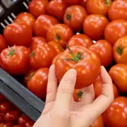 Tomato Price Warning: Summer Harvest Could Hike Costs