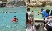 Tourist Sparks Outrage After Taking a Dip in Rome's Trevi Fountain for TikTok