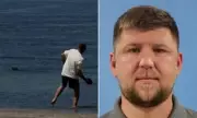 Tourist Who Threw Rock at Monk Seal Claims He Was Protecting Turtles