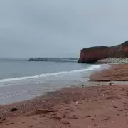 Tragic Discovery: Body Found in Search for Missing Man, 38, Near Paignton