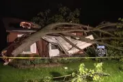 Tree Crushes Michigan Home Day After Sale: Seller Faces Repair Costs