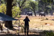 Trophy Hunting Ban Would Harm Conservation Efforts, Experts Warn