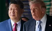 Trump and Xi Tour Zhongnanhai: A Rare Glimpse Inside China's Leadership Compound