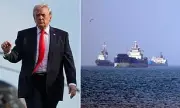 Trump's Strait of Hormuz gamble: Can Operation Freedom succeed?