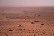 Two US Service Members Missing After Military Drills in Morocco