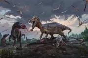 Tyrannosaur Fossil Reveals Cannibalism Among Dinosaur Relatives