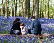 UK Adults Urged to 'Rewild Their Inner Child' as Nature Time Drops