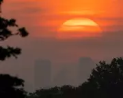 UK Heatwaves: New Normal of Extreme Weather Requires Urgent Adaptation