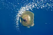 UK National Suspected of Hantavirus on Remote Tristan da Cunha
