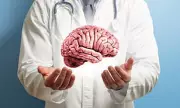 Ultrasound Brain Treatment Shows Promise for Chronic Pain Relief