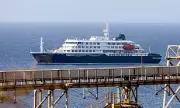 US Doctor on Hantavirus-Stricken Cruise Ship Says Passengers Abandoned by Government