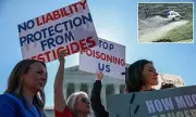 US Forests Sprayed with Cancer-Linked Herbicide Glyphosate for Timber