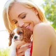 Vet Shares 3 Essential Tips Every Dog Owner Must Know