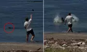 Wealthy tourist faces year in prison for throwing rock at protected Hawaiian monk seal