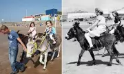 Welsh Beach Bans Donkey Rides After Century-Old Tradition Ends