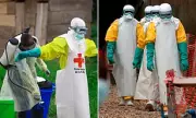 WHO Declares DRC-Uganda Ebola Outbreak a Public Health Emergency