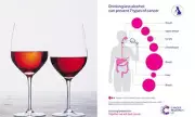 WHO Study Links Alcohol to Over 60 Diseases, Warns of Major Health Risks