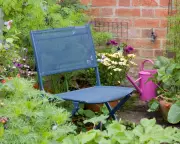 Why I've Decided to Enjoy My Rented Garden After Years of Neglect