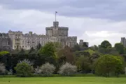 Windsor Castle Police Probed Over Sleeping on Duty Allegations