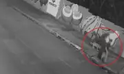 Woman Plunges into Manhole While Walking Dog in Brazil