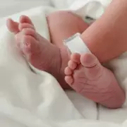 Woman Warns Brother Against Naming Son 'Brisket' Over Bullying Fears