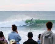 WSL Event in New Zealand Suspended After Shark or Sea Lion Bite