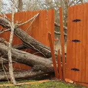 Your Legal Rights If a Neighbour's Tree or Hedge Damages Your Fence
