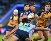 Zac Lomax misfires in union return despite hype over Suaalii duel