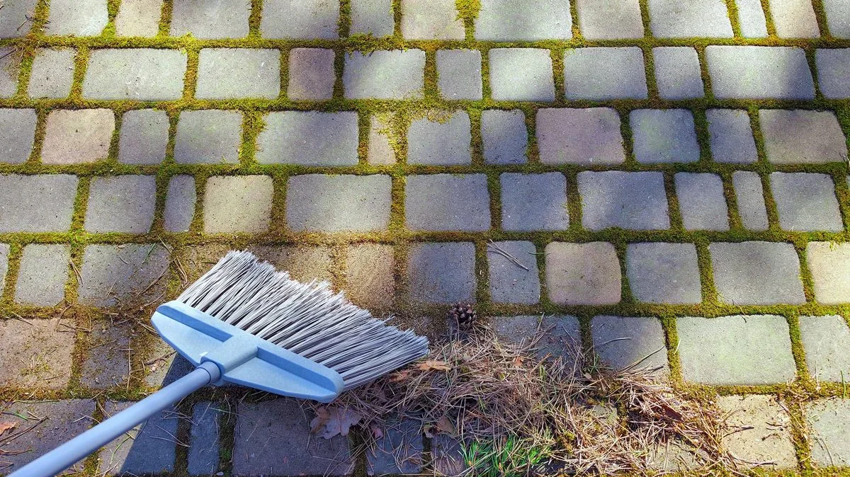 £1.40 Kitchen Staple Banishes Patio Moss For Good