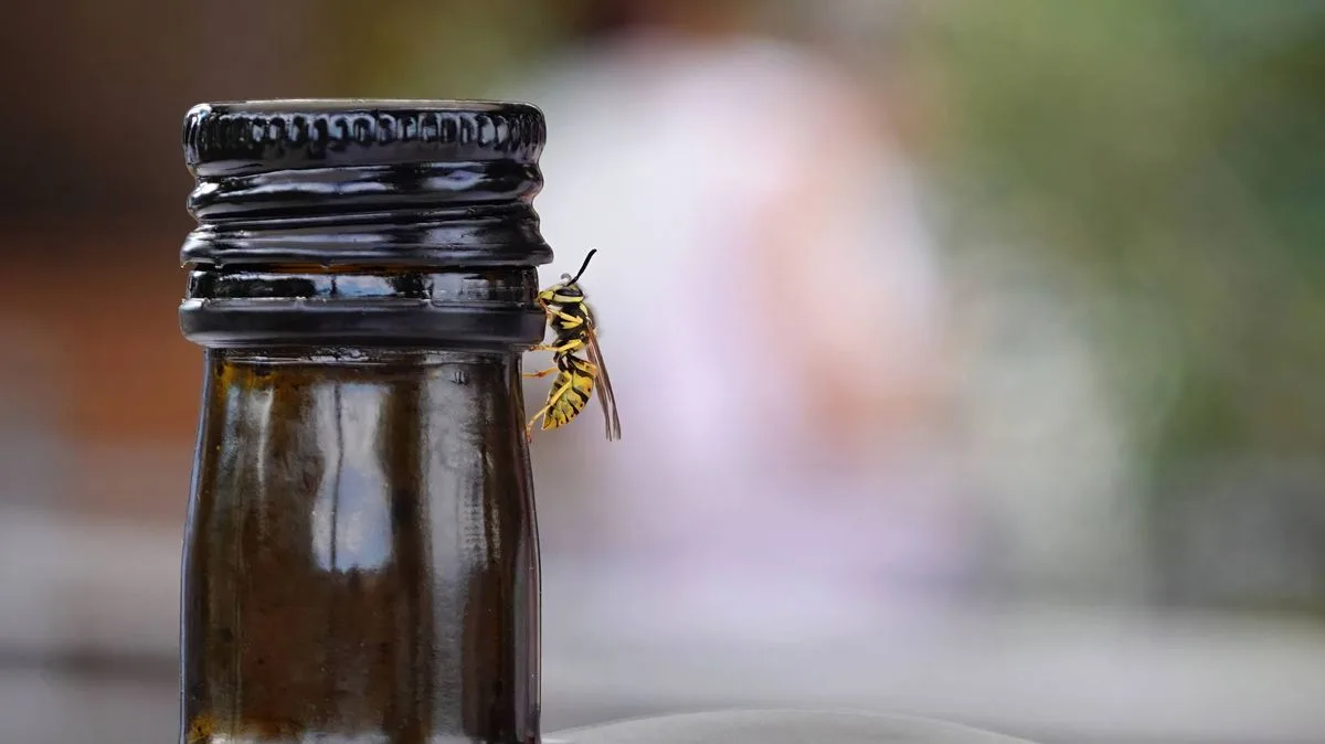 Two-Ingredient Homemade Spray to Keep Wasps Away This Summer