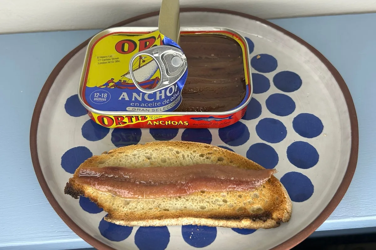 Tinned Fish Taste Test: Top 12 Picks from a Food Writer