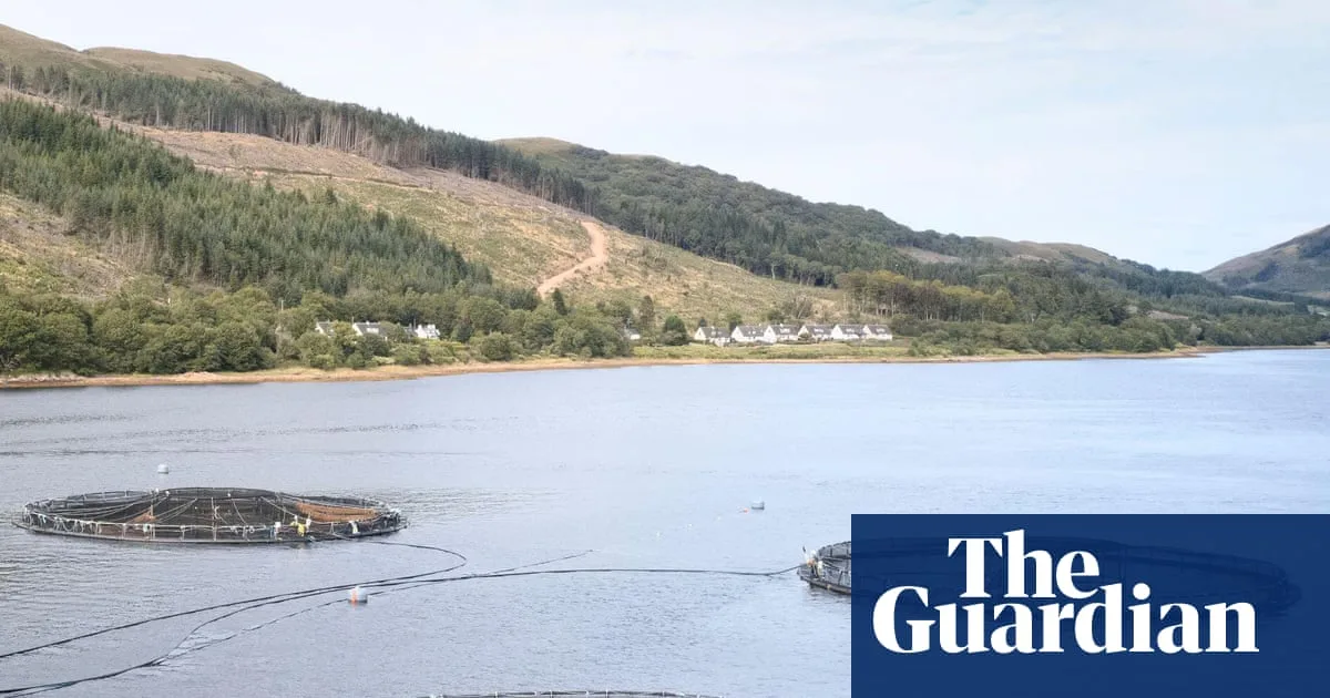 35 Million Salmon Deaths Reveal Scotland's Farm Inspection Crisis