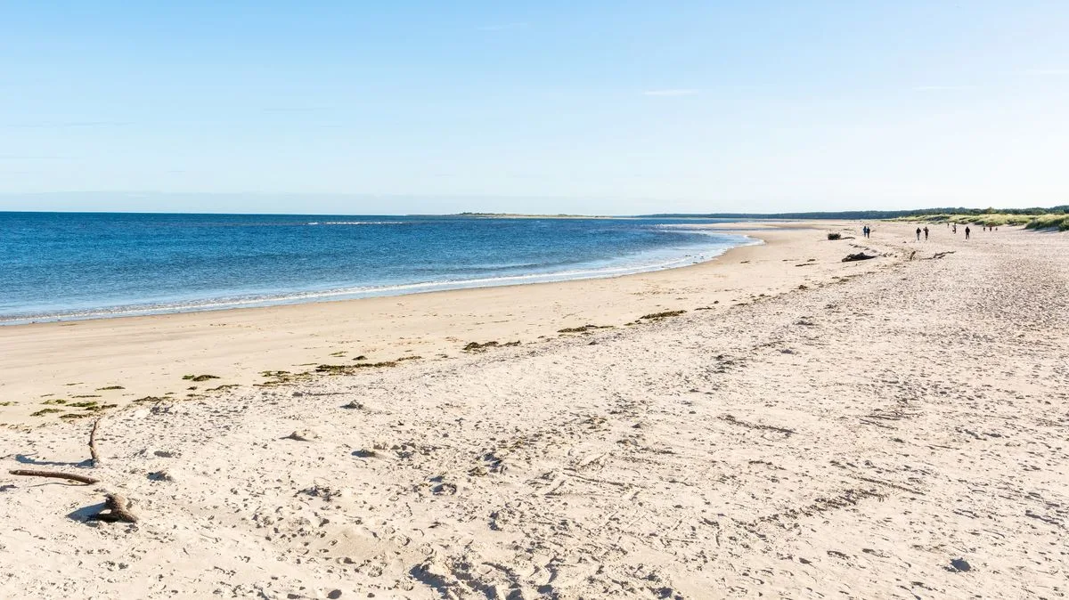 Five UK Beaches 'Like the Caribbean' Reachable by Train During Mini Heatwave