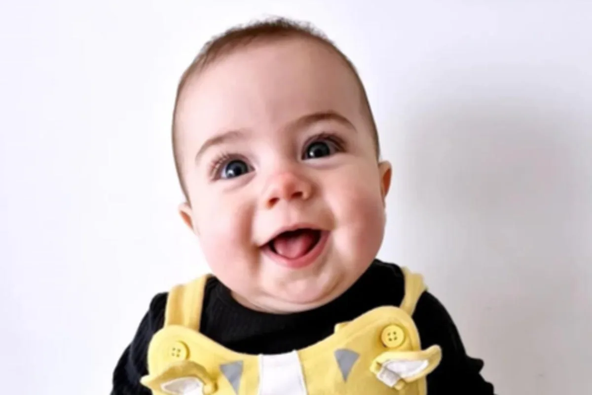 Seven-Month-Old Baby Mauled to Death by Family Dog in Coventry