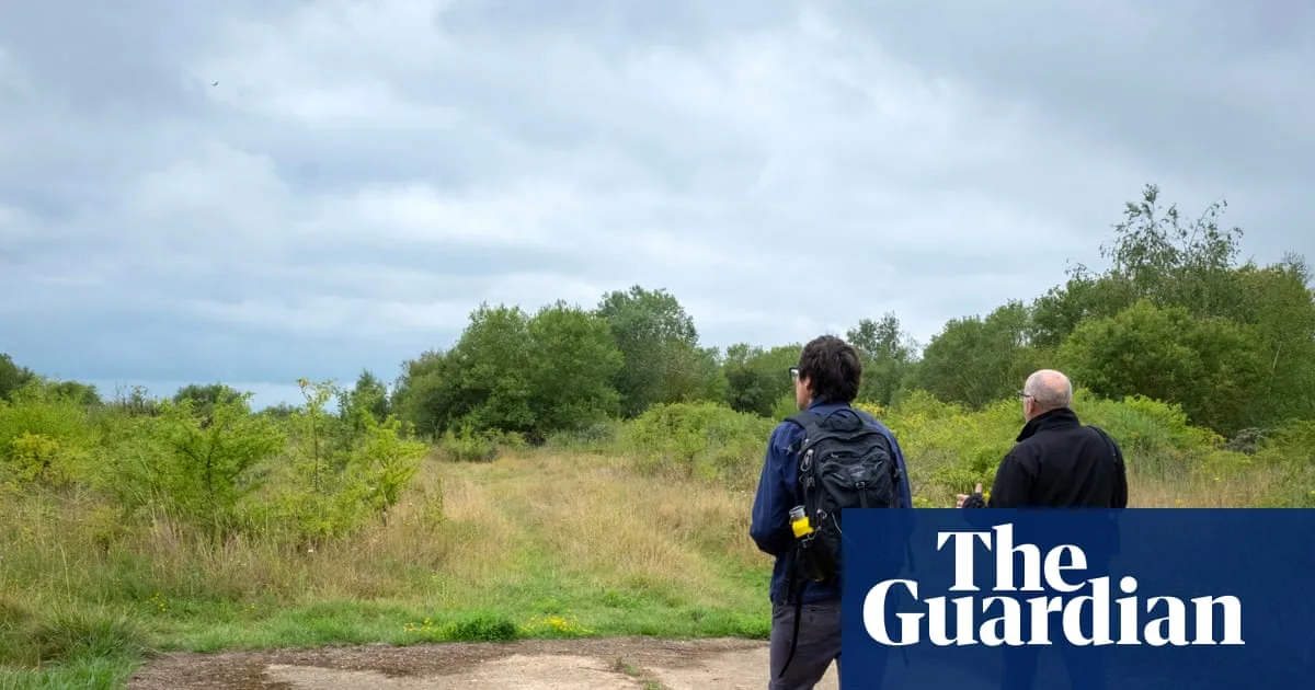 Abandoned Oil Refinery Becomes Wildlife Sanctuary