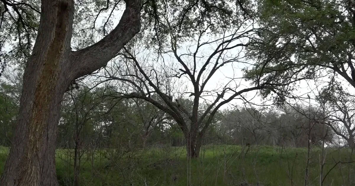 Abandoned PGA Championship Golf Course Now Overgrown