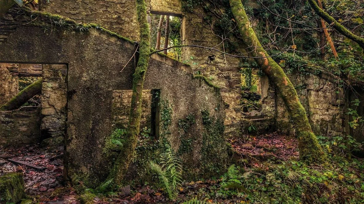 Abandoned Welsh Village Reclaimed by Nature Features Victorian Mansion