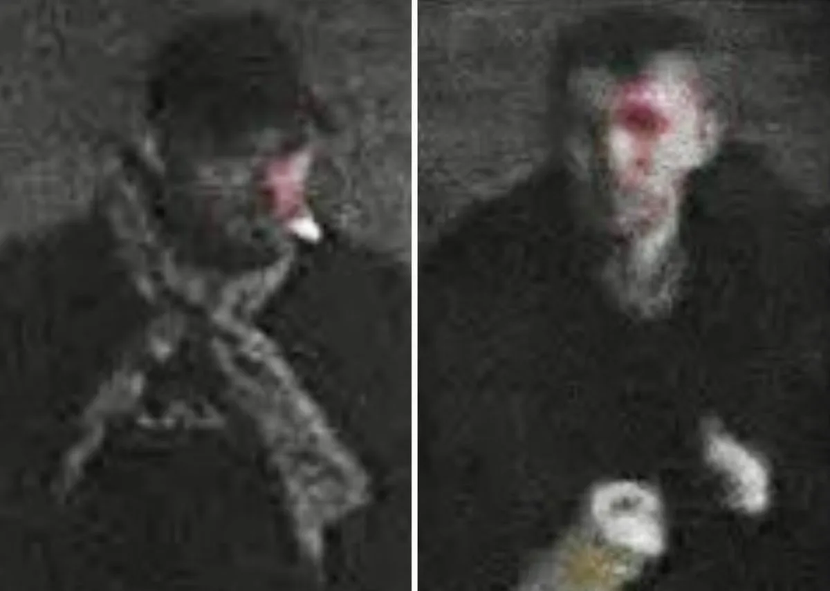 Acid Attack at Crawley Station Sparks Police Manhunt