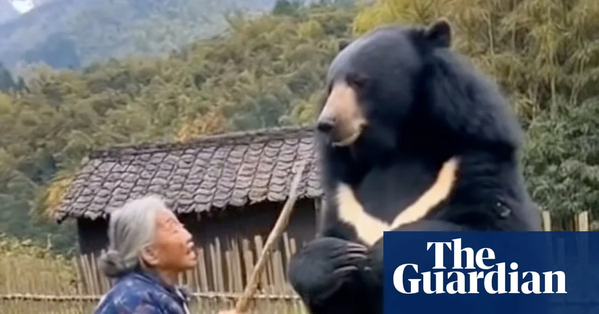 AI-Generated Bear Videos Fuel Anxiety Amid Surge in Real Attacks in Japan